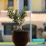 Le Vele Διαμέρισμα